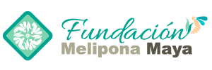 Fundación Melipona Maya